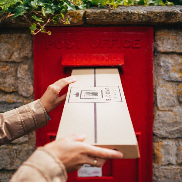 Blooms in a Box - Subscription